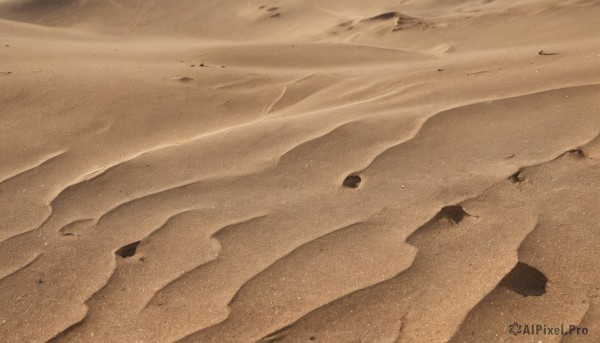 monochrome,outdoors,water,no humans,beach,scenery,rock,sand,sepia,shore,brown theme,desert,dust,day,realistic,footprints