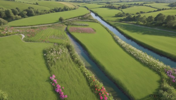 A refreshing image of a landscape in day