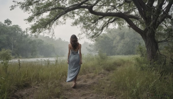 1girl,solo,long hair,brown hair,black hair,dress,bare shoulders,standing,outdoors,barefoot,sleeveless,day,from behind,white dress,tree,sleeveless dress,back,grass,nature,scenery,forest,walking,arms at sides,facing away,dirty feet,skirt,wide shot