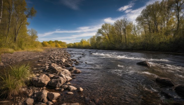 outdoors,sky,day,cloud,water,tree,blue sky,no humans,ocean,beach,cloudy sky,grass,nature,scenery,forest,rock,river,landscape,shore,plant