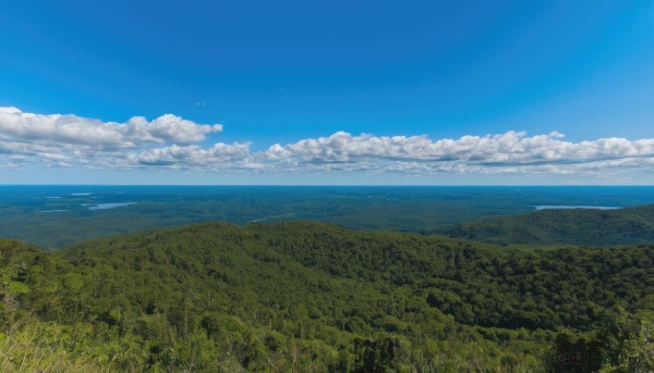 The allure of a landscape in a inviting day
