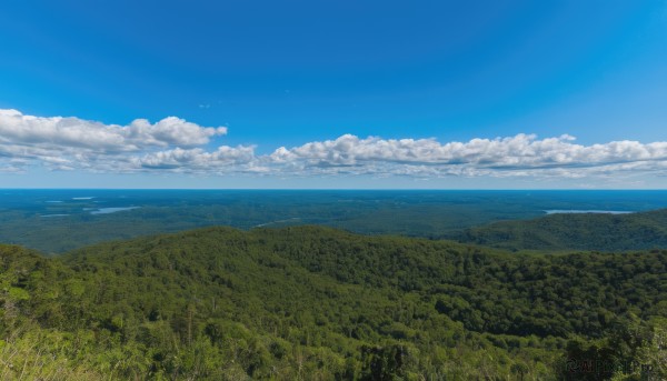 outdoors,sky,day,cloud,water,tree,blue sky,no humans,bird,ocean,cloudy sky,grass,nature,scenery,forest,mountain,horizon,field,landscape,hill,signature