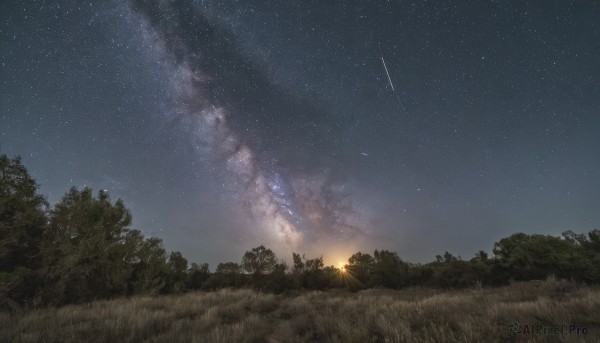 outdoors,sky,cloud,tree,no humans,night,grass,star (sky),nature,night sky,scenery,forest,starry sky,shooting star,milky way,fire,field,fireworks,campfire