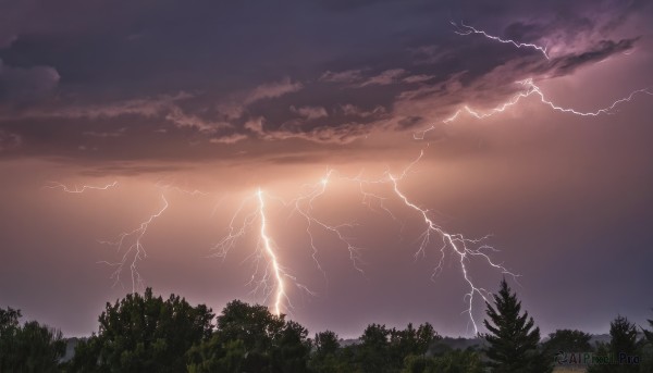 The serene presence of a lightning in a lush sunset outdoors