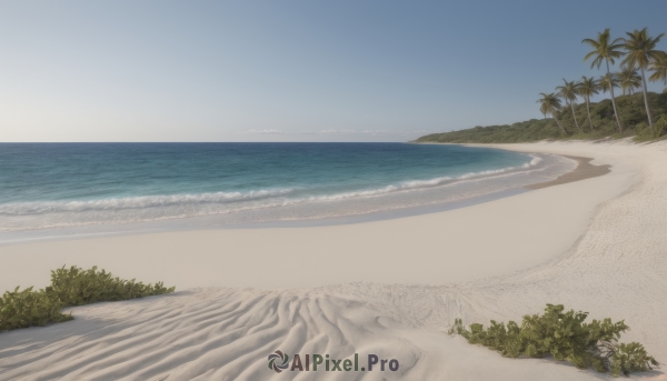 outdoors,sky,day,water,tree,blue sky,no humans,ocean,beach,plant,nature,scenery,sand,palm tree,horizon,bush,waves,shore,cloud