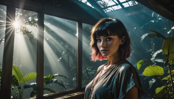 1girl,solo,breasts,looking at viewer,short hair,bangs,shirt,black hair,brown eyes,jewelry,closed mouth,upper body,pink hair,short sleeves,multicolored hair,day,indoors,blunt bangs,necklace,black eyes,lips,window,leaf,sunlight,plant,pendant,light rays,realistic,nose,sunbeam,white shirt,earrings,parted lips,makeup,bob cut,lipstick,light