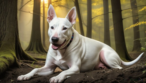 HQ,solo,looking at viewer,full body,outdoors,lying,tongue,signature,tongue out,black eyes,collar,tree,no humans,animal,sunlight,on stomach,nature,forest,dog,realistic,animal focus,plant,animal collar