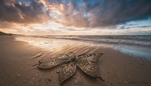 outdoors, sky, cloud, water, dutch angle, no humans, ocean, animal, beach, cloudy sky, bug, scenery, sunset, sand, horizon