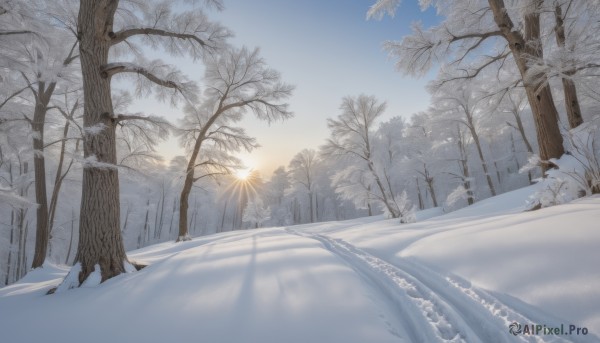 outdoors,sky,day,cloud,tree,blue sky,no humans,sunlight,nature,scenery,snow,forest,mountain,sun,road,winter,bare tree,sunrise,pine tree,sunset,landscape