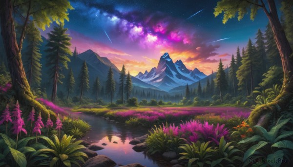 The wonder of a landscape in a bold outdoors