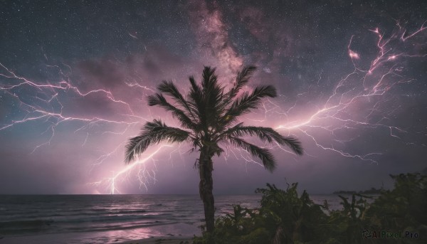 outdoors,sky,cloud,water,tree,no humans,night,ocean,beach,plant,star (sky),night sky,scenery,starry sky,palm tree,horizon,electricity,lightning,cloudy sky,dark,landscape