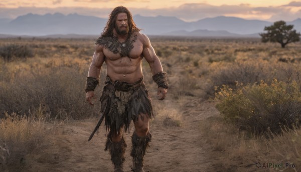 solo,long hair,brown hair,1boy,navel,jewelry,closed mouth,nipples,standing,full body,weapon,male focus,boots,outdoors,sword,necklace,blurry,tree,muscular,blurry background,facial hair,scar,abs,grass,pectorals,muscular male,bara,facing viewer,beard,clenched hands,walking,topless male,mountain,realistic,arms at sides,bracer,field,chest hair,loincloth,mountainous horizon,tooth necklace,looking at viewer,black hair,sky,day,tattoo,wristband,mature male,navel hair