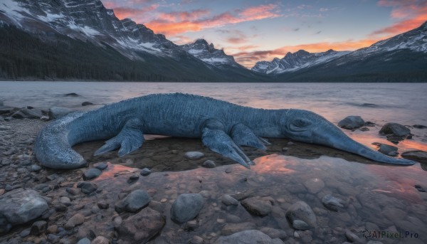 outdoors,sky,cloud,water,no humans,bird,animal,cloudy sky,scenery,snow,fish,sunset,rock,mountain,mountainous horizon,gradient sky,orange sky,stone,ocean,reflection,scales