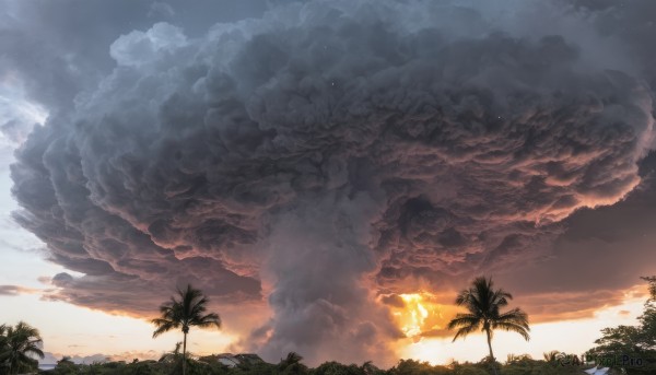 outdoors,sky,cloud,tree,no humans,ocean,beach,sunlight,cloudy sky,fire,nature,scenery,sunset,palm tree,sun,horizon