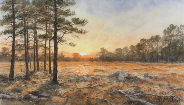 A graceful view of a landscape in sunset day