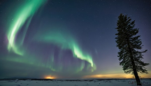 outdoors,sky,cloud,tree,no humans,night,star (sky),nature,night sky,scenery,starry sky,horizon,aurora,star (symbol),snow,forest,mountain,landscape,pine tree