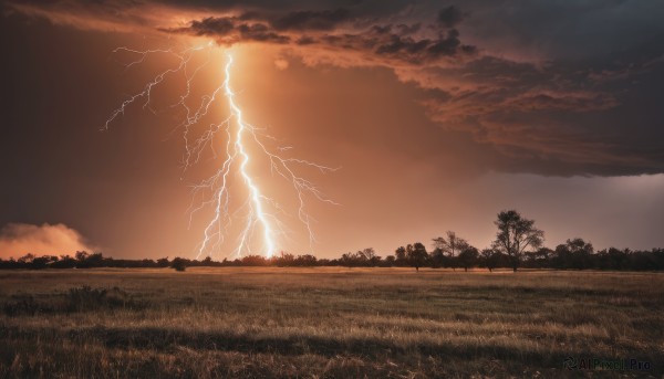 A delightful capture of a lightning within sunset outdoors