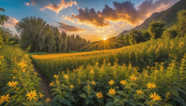 A stunning portrayal of a landscape in a calm sunset outdoors