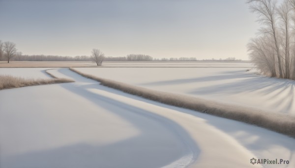 A idyllic landscape within a lush snowy day