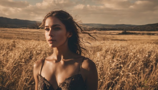 1girl,solo,long hair,breasts,brown hair,black hair,dress,cleavage,bare shoulders,medium breasts,underwear,collarbone,upper body,outdoors,sky,cloud,bra,lips,looking to the side,looking away,cloudy sky,wind,scenery,realistic,field,blue eyes,ribbon,day,sunlight