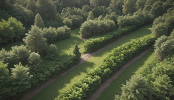 The beauty of a landscape set in a captivating day