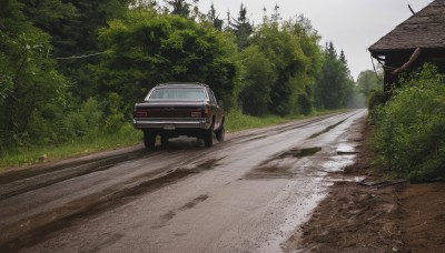 outdoors,day,tree,no humans,grass,ground vehicle,building,nature,scenery,motor vehicle,forest,car,road,bush,house,vehicle focus,street,sky,realistic