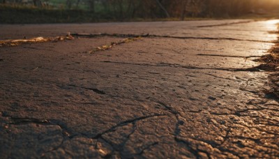 outdoors,blurry,tree,no humans,sunlight,grass,nature,scenery,forest,road,river,photo background,day,water,depth of field,blurry background,shadow,leaf,rock,realistic,autumn leaves,autumn,path