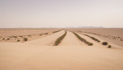 outdoors,sky,day,tree,no humans,bird,beach,nature,scenery,mountain,sand,horizon,road,field,landscape,shore,desert,cloud,water,ocean,grass,plant,rock,path