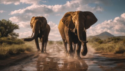 tail,outdoors,sky,day,cloud,water,tree,blue sky,no humans,animal,cloudy sky,grass,nature,scenery,forest,reflection,monster,mountain,river,lake,walking,running