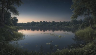 outdoors,sky,water,tree,no humans,night,grass,plant,star (sky),nature,night sky,scenery,forest,starry sky,reflection,sunset,rock,river,lake,gradient sky,lily pad,pond,fish,reflective water