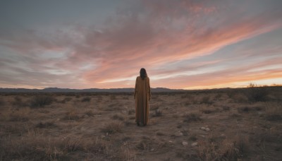 1girl,solo,long hair,black hair,standing,outdoors,sky,cloud,from behind,no humans,cloudy sky,grass,scenery,sunset,rock,horizon,field,wide shot,evening,orange sky,hood,hood down