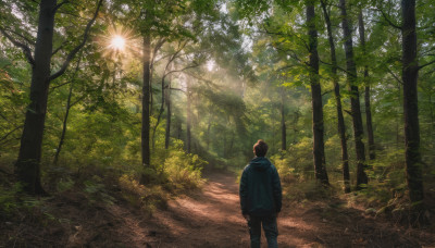 solo, 1boy, standing, jacket, male focus, outdoors, day, pants, hood, from behind, tree, hoodie, sunlight, grass, nature, scenery, forest, road