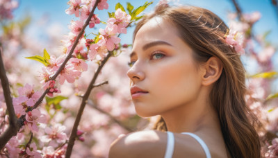 1girl, solo, long hair, looking at viewer, blue eyes, brown hair, hair ornament, flower, outdoors, parted lips, sky, day, looking back, hair flower, blurry, lips, cherry blossoms, realistic, nose