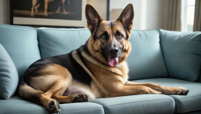 HQ,solo,looking at viewer,yellow eyes,tongue,indoors,tongue out,pillow,no humans,window,animal,curtains,couch,dog,realistic,on couch,animal focus,brown fur,brown eyes,lying,day