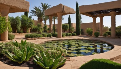 outdoors,sky,day,water,tree,blue sky,no humans,shadow,grass,plant,nature,scenery,palm tree,bush,pillar,lily pad,path,cloud,building,reflection,ruins,bridge,arch,pond