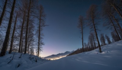 outdoors,sky,tree,no humans,night,star (sky),nature,night sky,scenery,snow,forest,starry sky,mountain,winter,bare tree,landscape,gradient sky,sunrise,footprints,cloud,blue sky,sunset