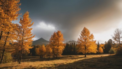 outdoors,sky,day,cloud,tree,blue sky,no humans,cloudy sky,grass,nature,scenery,forest,mountain,road,autumn leaves,lamppost,bare tree,autumn,landscape,path,sunlight