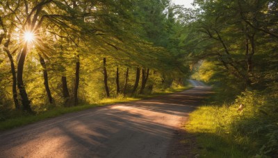 outdoors,day,signature,tree,no humans,sunlight,grass,nature,scenery,forest,road,bush,path,sky,water,shadow,plant,fireworks,river