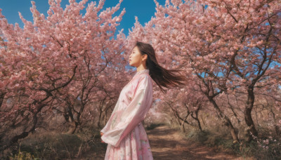 1girl, solo, long hair, brown hair, black hair, long sleeves, dress, outdoors, sky, day, from side, tree, blue sky, profile, floral print, grass, looking up, cherry blossoms, wind, realistic