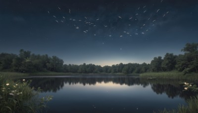 flower,outdoors,sky,water,tree,no humans,night,bird,grass,plant,star (sky),nature,night sky,scenery,forest,starry sky,reflection,river,lake,reflective water