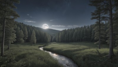 outdoors,sky,cloud,water,tree,no humans,night,moon,cloudy sky,grass,star (sky),nature,night sky,scenery,full moon,forest,starry sky,reflection,road,river,landscape,path,horizon,bush