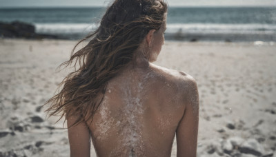 1girl, solo, long hair, brown hair, black hair, upper body, nude, outdoors, day, water, from behind, blurry, wet, blurry background, ocean, back, beach, realistic, sand, facing away, back focus