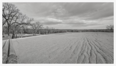 monochrome,comic,greyscale,outdoors,sky,cloud,tree,no humans,cloudy sky,scenery,road,bare tree,grass,nature,forest,fence,field,landscape