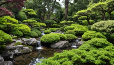 outdoors,day,water,tree,no humans,sunlight,grass,nature,scenery,forest,rock,river,waterfall,landscape,moss,stream,bush