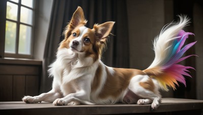 HQ,solo,blue eyes,closed mouth,full body,lying,day,indoors,no humans,window,animal,sunlight,on stomach,curtains,dog,realistic,animal focus,white fur,looking at viewer,signature,feathers,web address