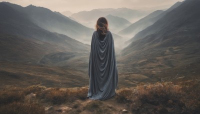 1girl,solo,long hair,brown hair,standing,outdoors,day,pointy ears,hood,from behind,cape,grass,scenery,cloak,mountain,facing away,field,mountainous horizon,sky,signature,landscape