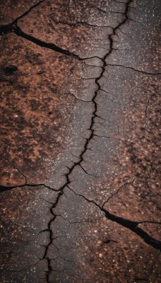 outdoors,tree,no humans,from above,scenery,reflection,branch,autumn leaves,orange theme,water,shadow,star (sky),light particles,road,crack,stone floor,cracked floor