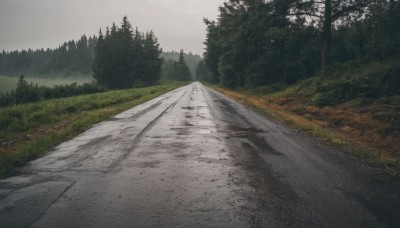 outdoors,sky,day,cloud,tree,no humans,cloudy sky,grass,nature,scenery,forest,mountain,road,bush,landscape,grey sky,path