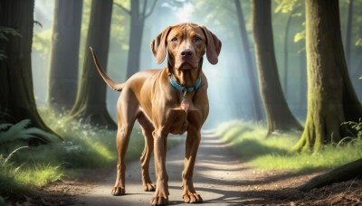 HQ,tail,outdoors,day,collar,tree,no humans,animal,sunlight,grass,nature,scenery,forest,dog,realistic,leash,road,animal focus,animal collar,path,solo,standing,tongue,tongue out,saliva,shadow,plant,bush