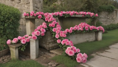 flower,outdoors,day,no humans,rose,grass,plant,scenery,pink flower,bush,ruins,pink rose,pillar,path,arch,leaf,vines,stone floor